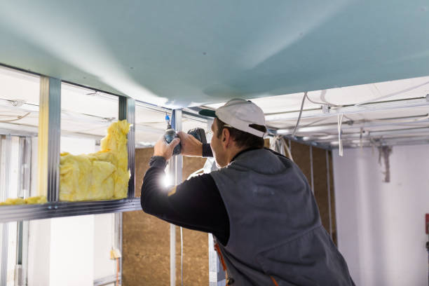 Best Professional Insulation Contractor  in Chambersburg, PA