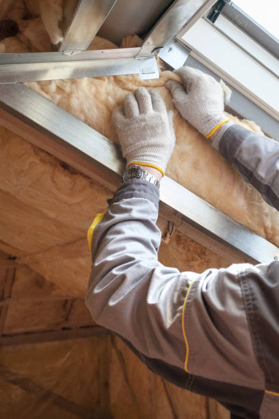 Best Crawl Space Insulation  in Chambersburg, PA