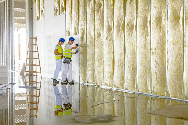 Best Insulation Contractors for Homes  in Chambersburg, PA